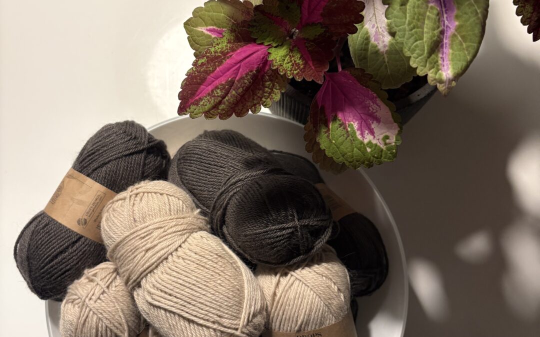 Indkøb af super flot uldgarn til det næste strikkeprojekt som jeg tror bliver en cardigan